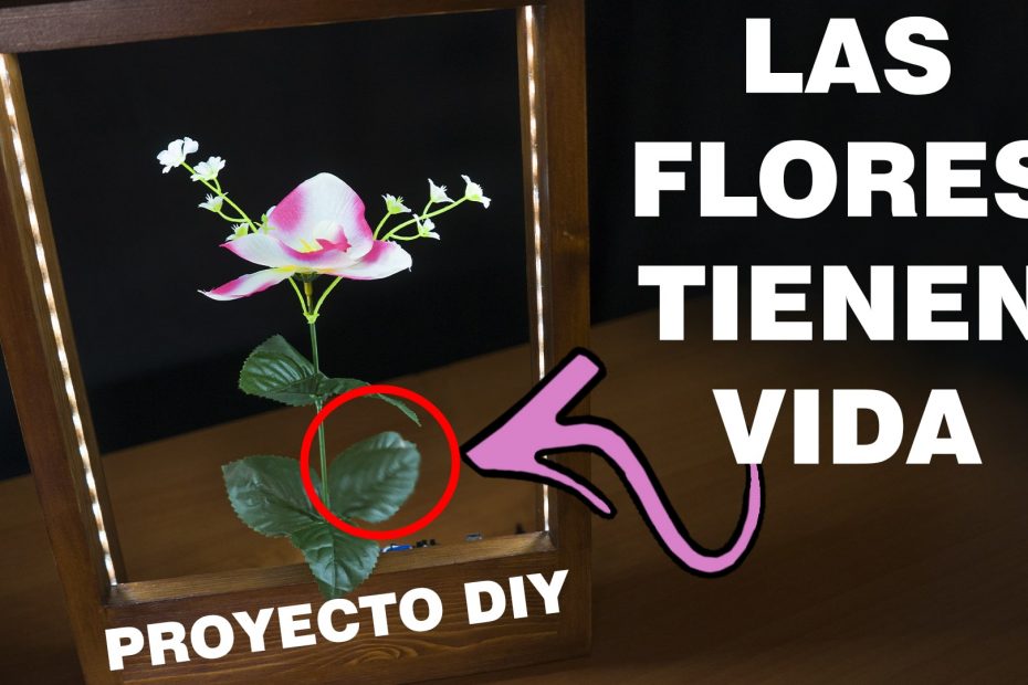 Slow down frame diy